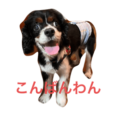 jinjin_20240521000639