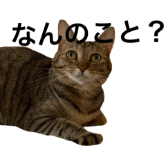 reirer017_20240521023100