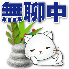 Q white cat - daily practical greetings