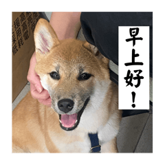 多樂寶寶-2