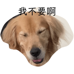 Elsa整天睡 睡整天