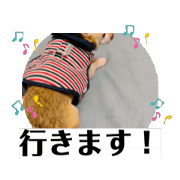 kotachan37_20240522022903