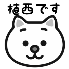 ShokuNishi white cats stickers
