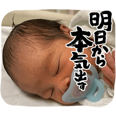 tanuki_20240521200759