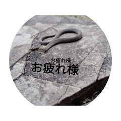 abcdefg_20240521203900