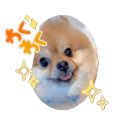 Miho_20240522104706