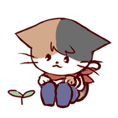 stony-faced calico cat