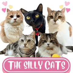 WOOFME WITH SILLY CATS