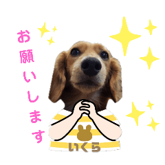 YUUKO_20240522002529