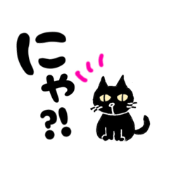 blackcat and friend