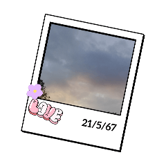cream_20240522114841