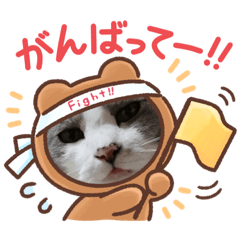 eririn_20240522120309