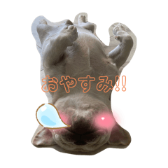 RUI_20240522162656