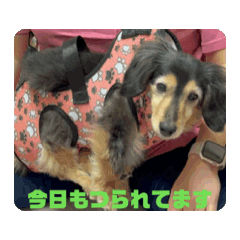 Rui_20240522143150