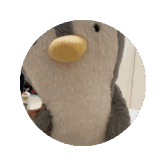n_20240522202736