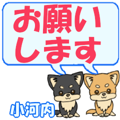 Kogouchi's letters Chihuahua2