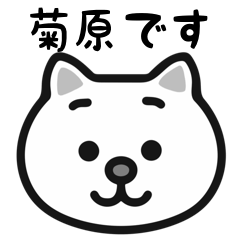 Kikuhara white cats stickers