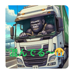 Gorilla Drivers Phrases