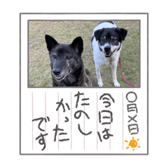 konatsu_20240522221005