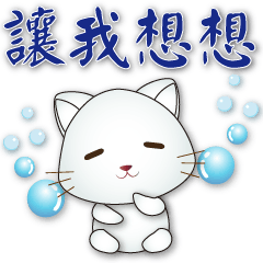 Cute white cat -practical daily phrases