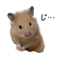 uni_hamster