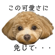 maron_20240522001010