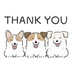 Daily Jack Russell Terrier Sticker 3