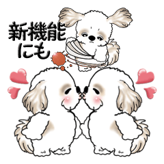 Shih Tzu ( Also new features)