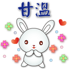 Cute White Rabbit - Everyday Phrases