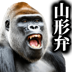 Gorilla in Yamagata
