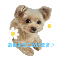 puku_20240523155538