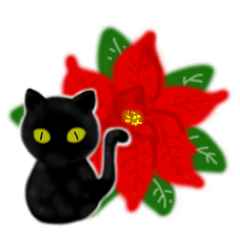 Flowers, words, and cats