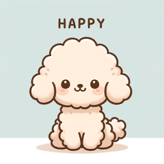 Cute Toy Poodle 2024