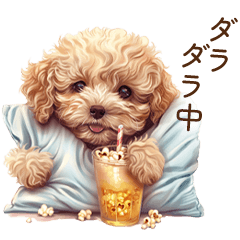 Toy poodle | What are you doing now?