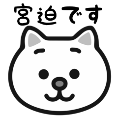 Miyasako white cats stickers