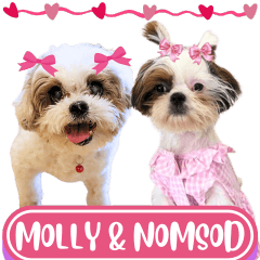MOLLY AND NOMSOD