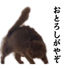 naconaco_20240523195824