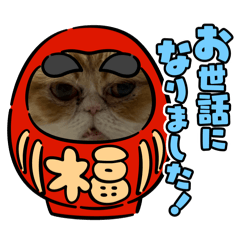 OurCatsAndogs