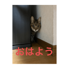 Rui_20240523205507