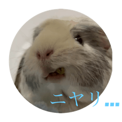Bonnu_20240523212532