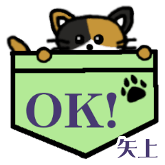 Yakami's Pocket Cat's