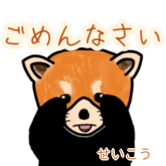 Seikou's lesser panda