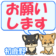 Hajikano's letters Chihuahua2