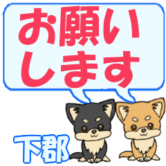 Shimogoori's letters Chihuahua2