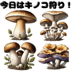 Forest friends of mushroom mania