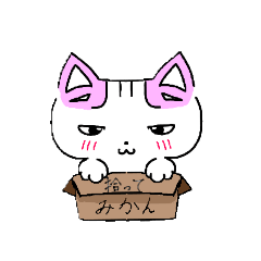 看板 ねこ