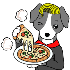 Italian Chef Greyhound
