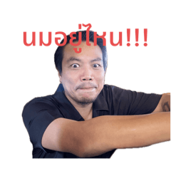 Little cow_20240523144305