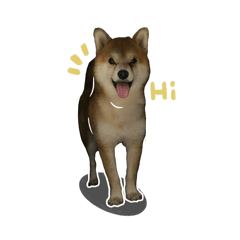 ShabuShabudesu