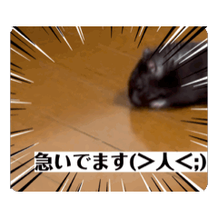 mar_20240525004632